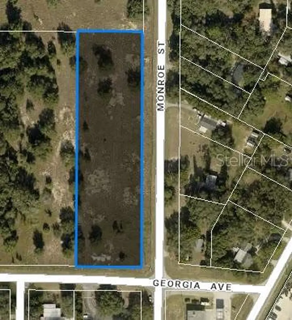Tbd Monroe Street & Georgia Avenue Astatula FL 34705
