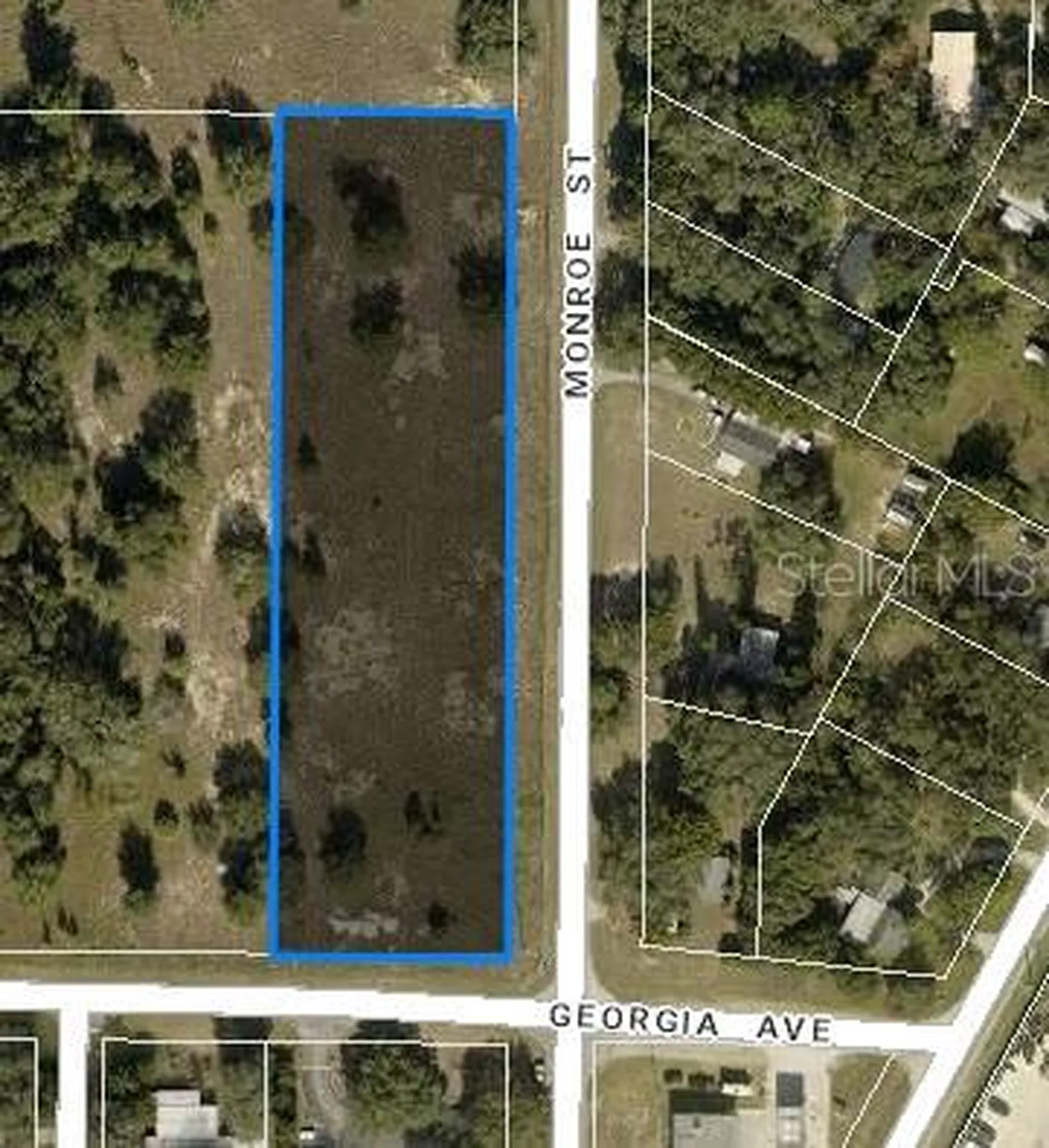 Tbd Monroe Street & Georgia Avenue Astatula FL 34705