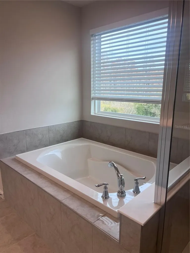 10928 Osprey Glade Terrace Land O Lakes FL 34638