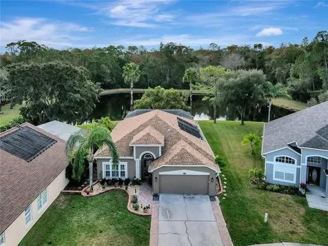 12552 Blazing Star Drive Tampa FL 33626