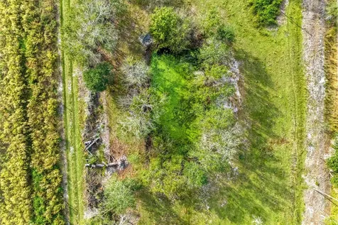 10589 Brendle Road Myakka City FL 34251