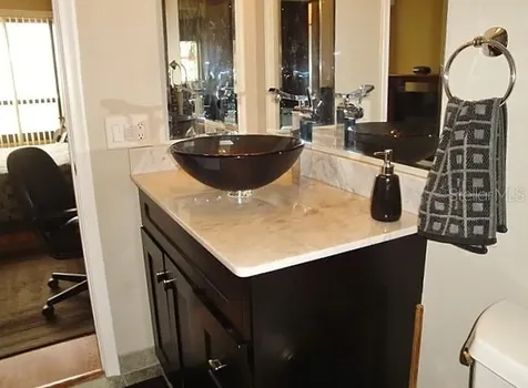 6294 Bahia Del Mar Circle St Petersburg FL 33715