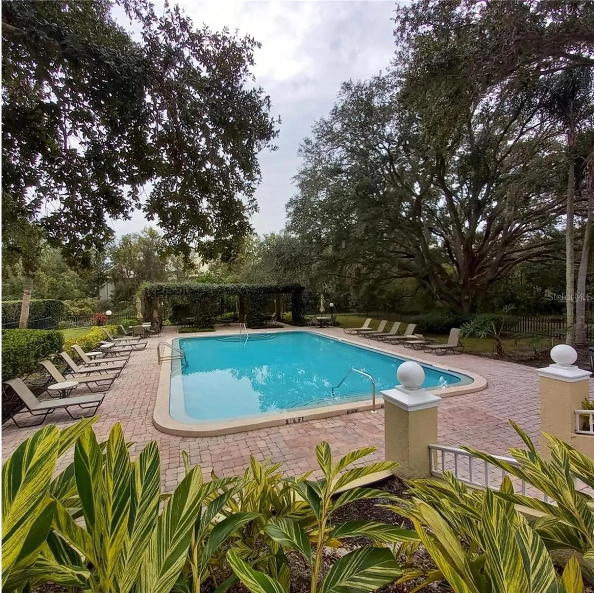 2690 Coral Landings Boulevard Palm Harbor FL 34684