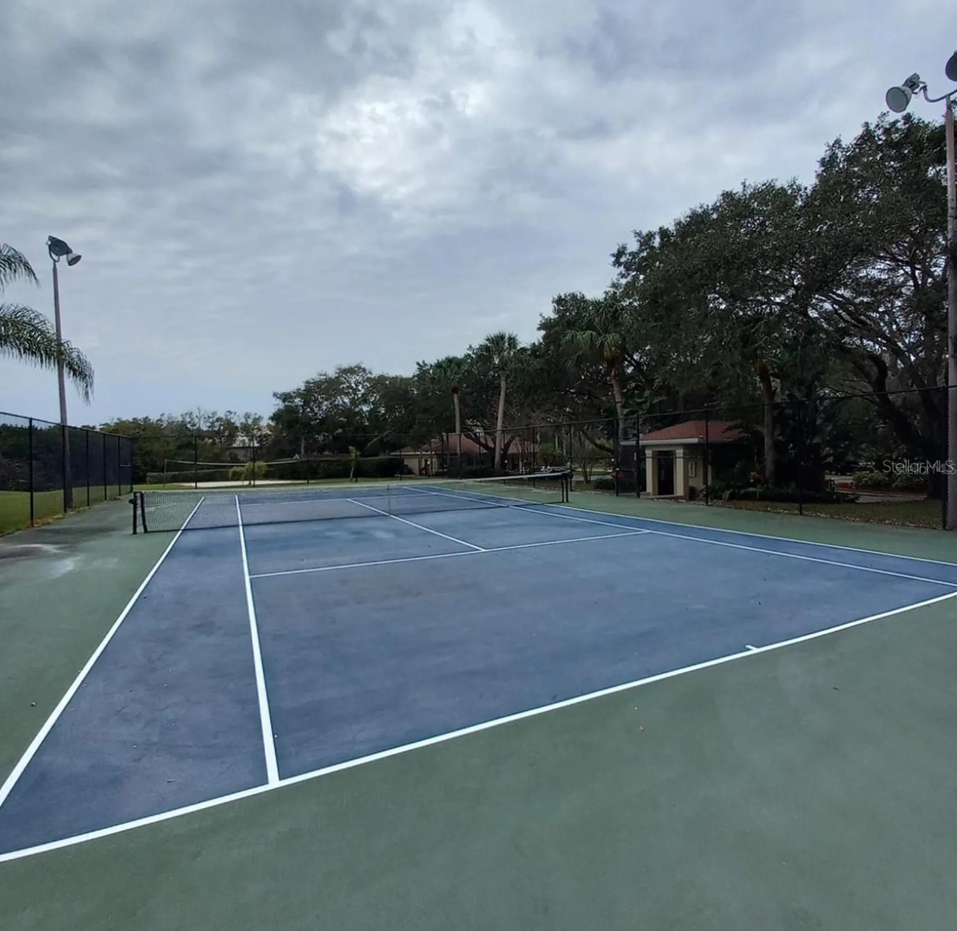 2690 Coral Landings Boulevard Palm Harbor FL 34684