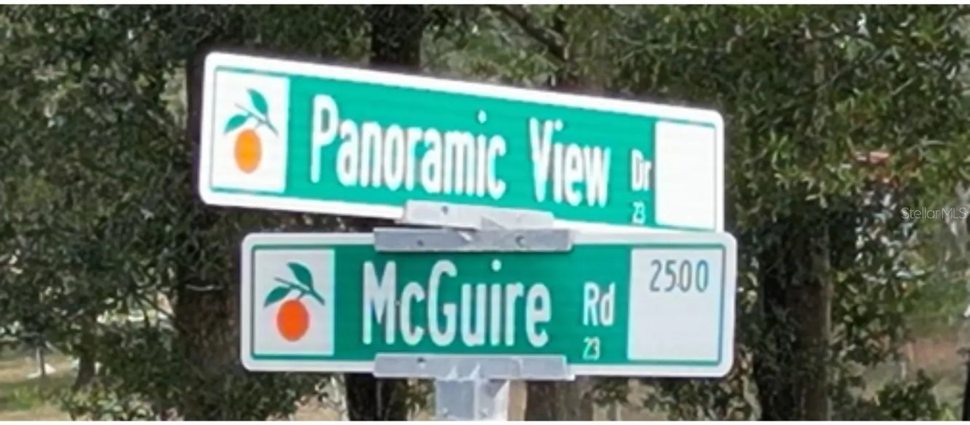 5549 Panoramic View Drive Apopka FL 32712