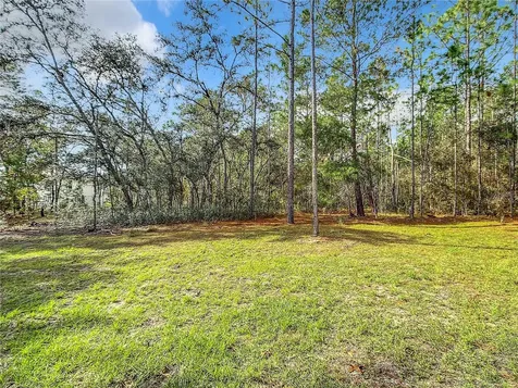 7534 N Galt Point Citrus Springs FL 34434