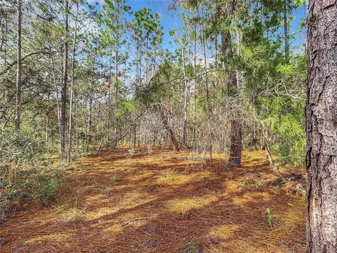7534 N Galt Point Citrus Springs FL 34434