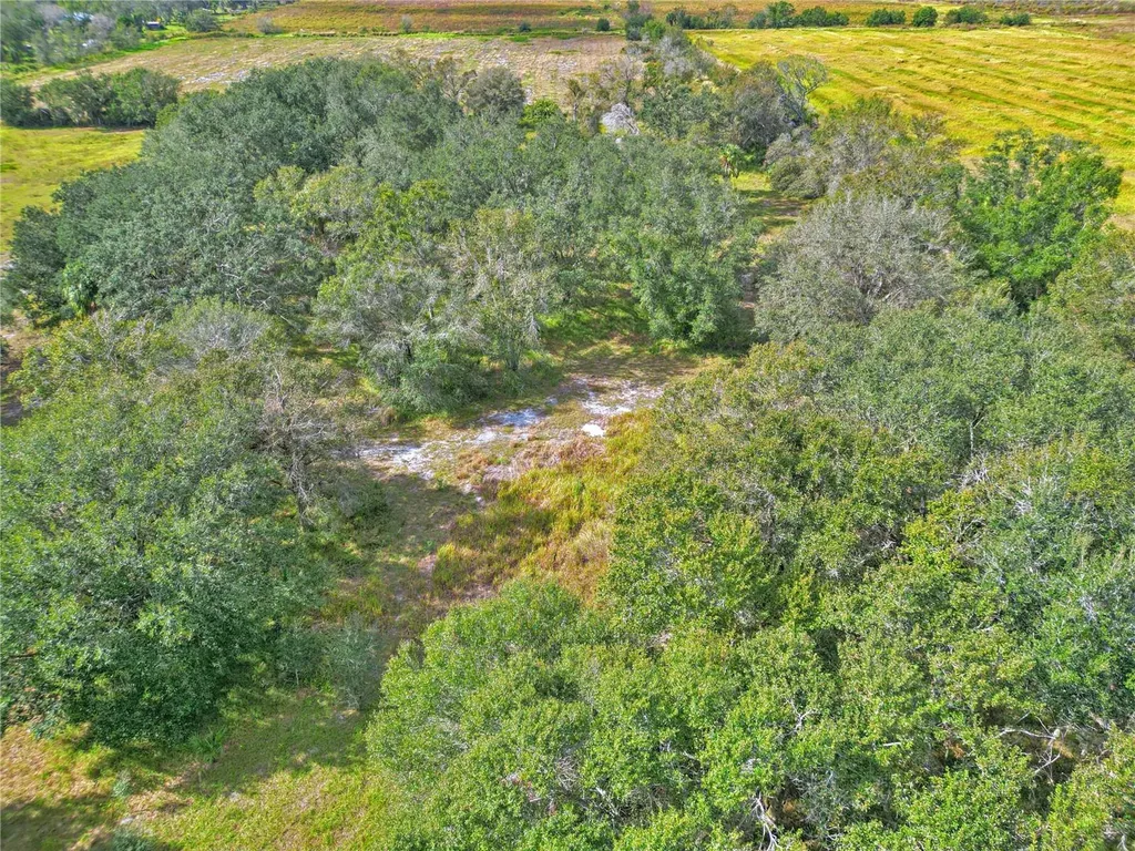 Conroy Lane Wauchula FL 33873
