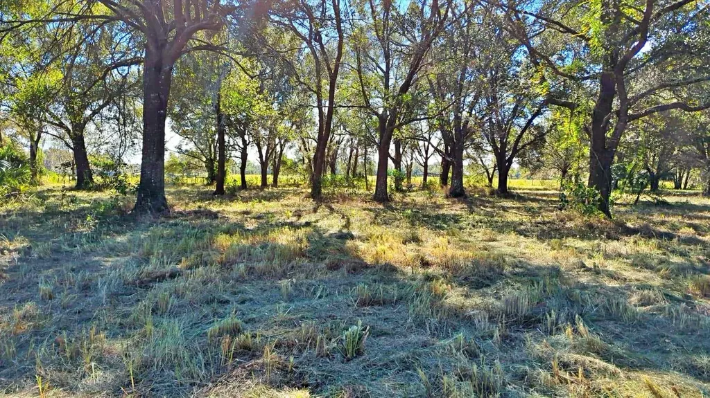 Conroy Lane Wauchula FL 33873