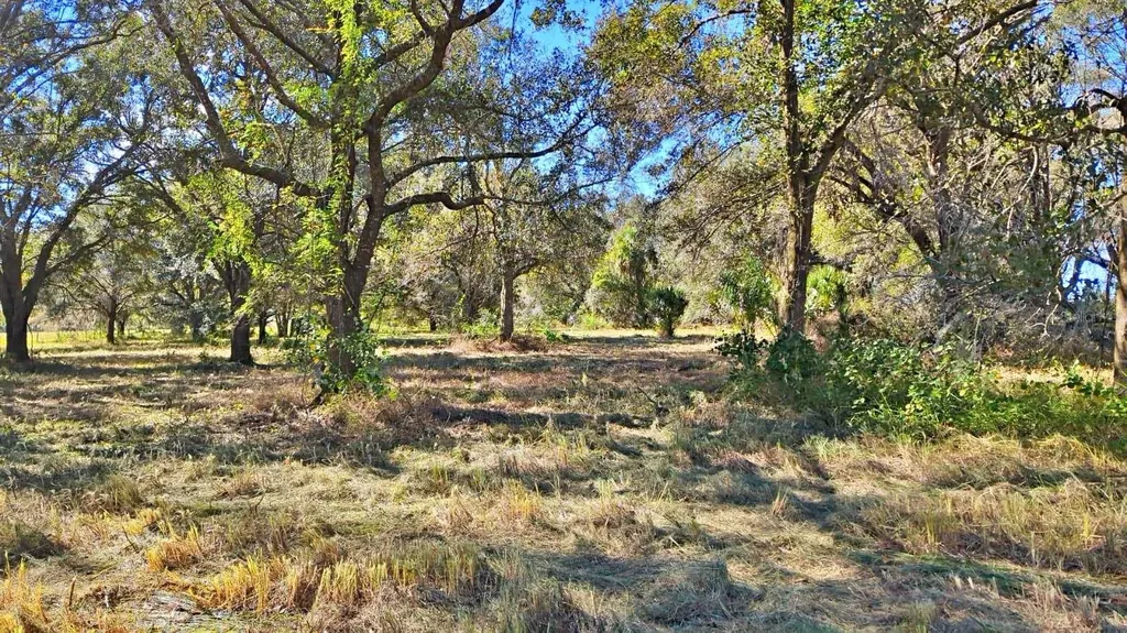 Conroy Lane Wauchula FL 33873