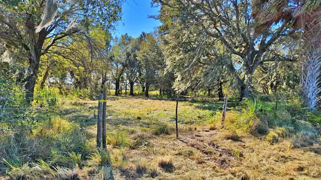 Conroy Lane Wauchula FL 33873