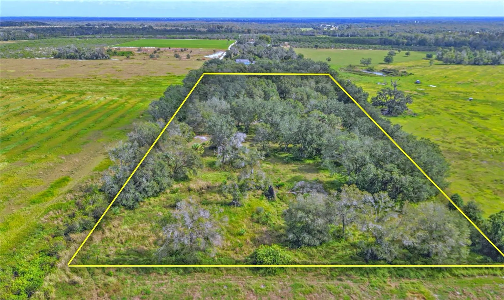 Conroy Lane Wauchula FL 33873