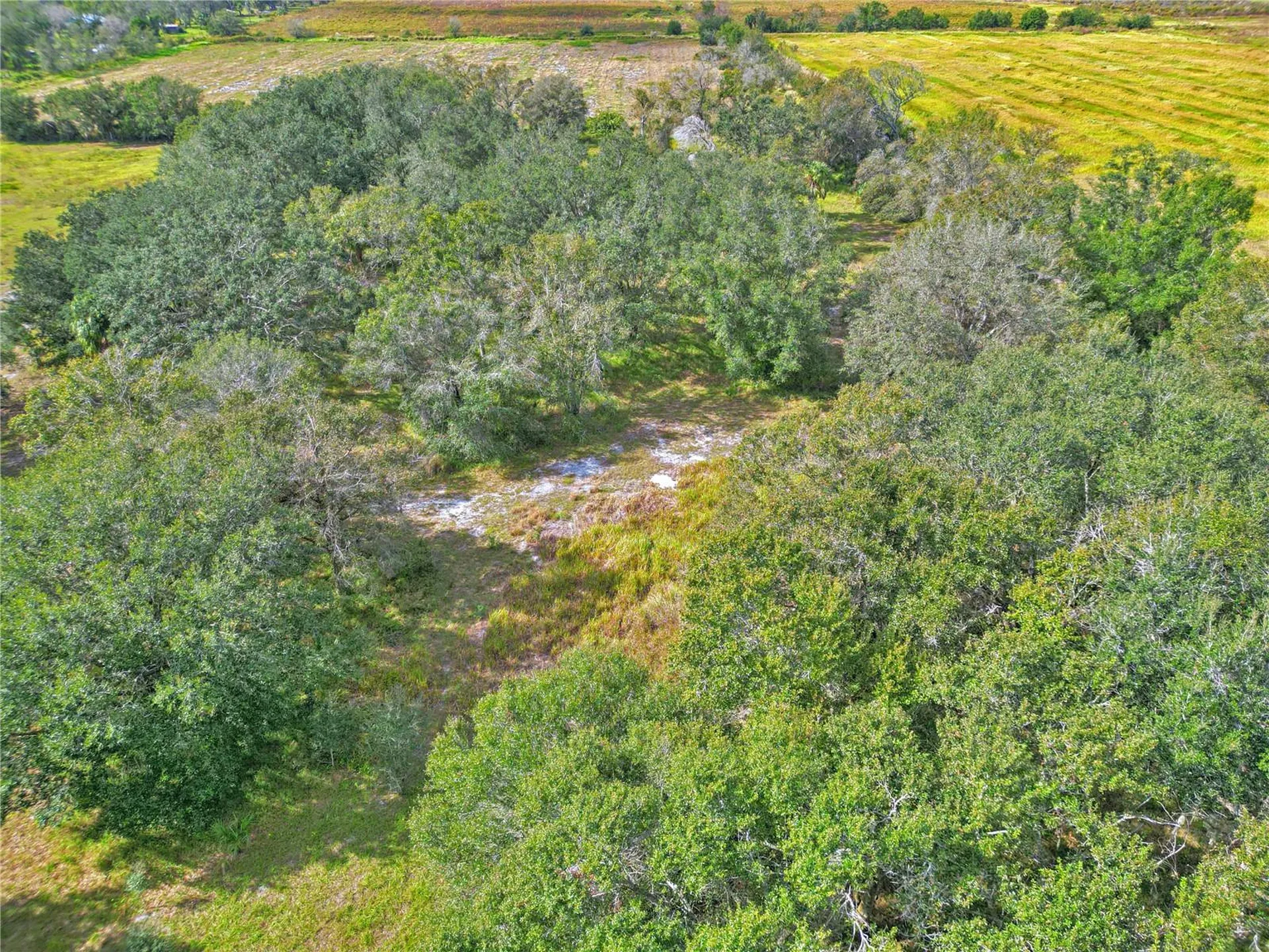 Conroy Lane Wauchula FL 33873