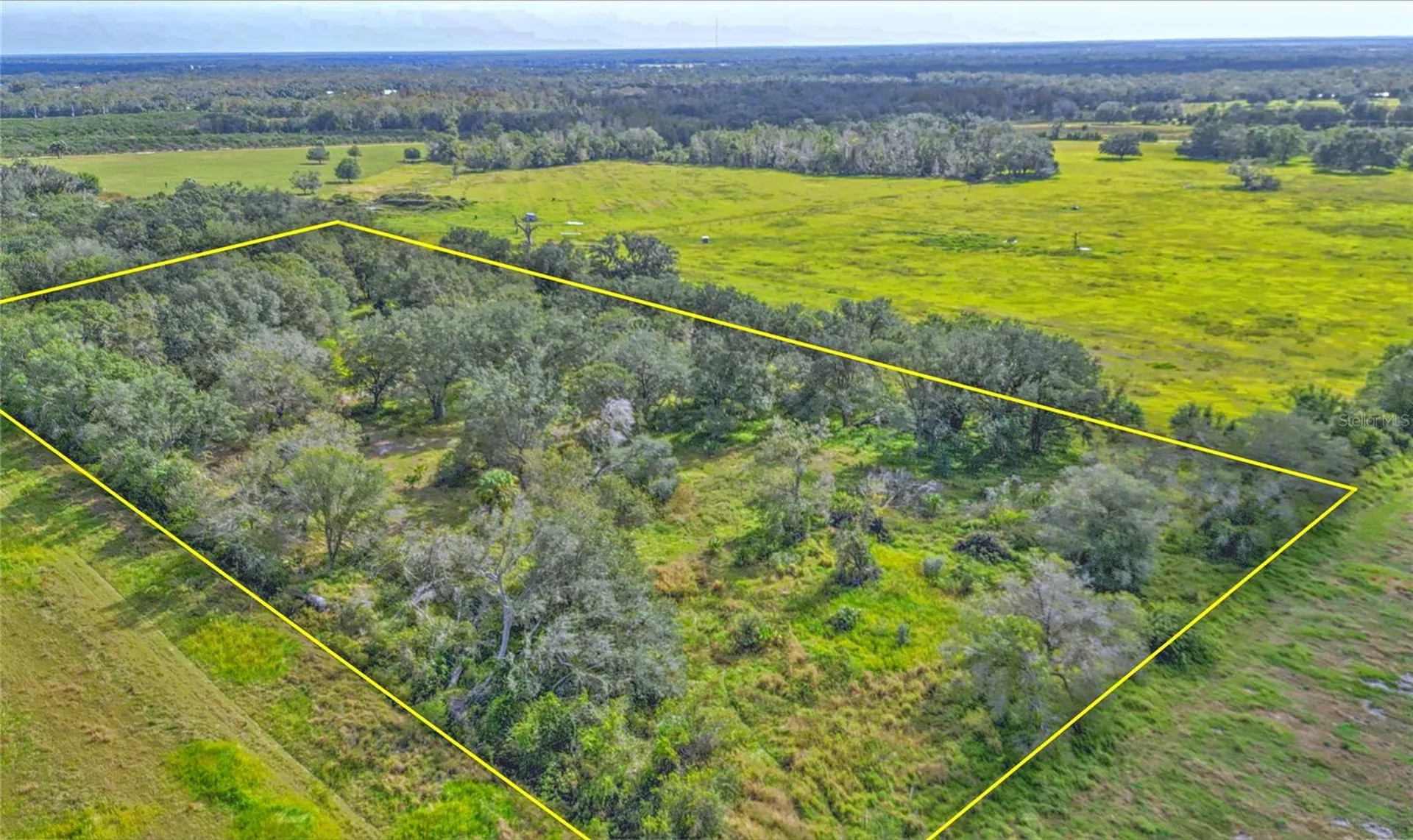 Conroy Lane Wauchula FL 33873