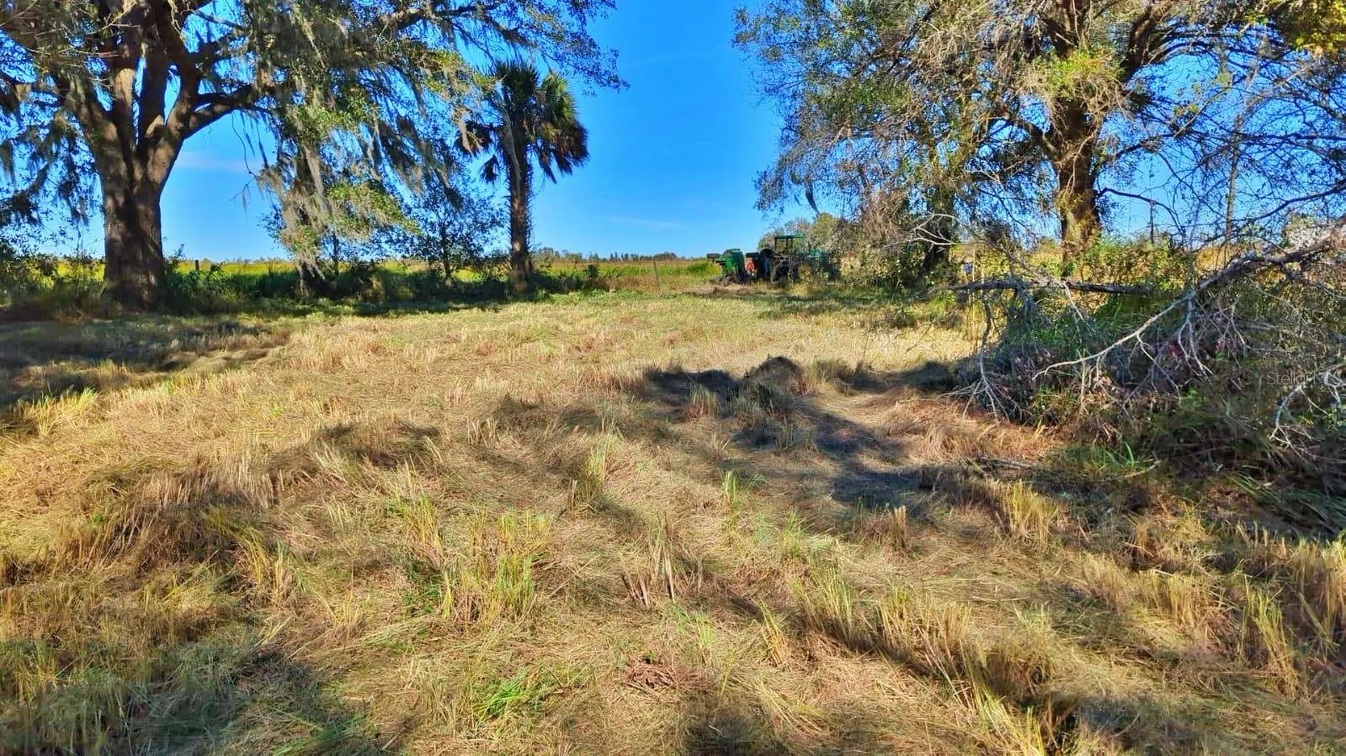 Conroy Lane Wauchula FL 33873