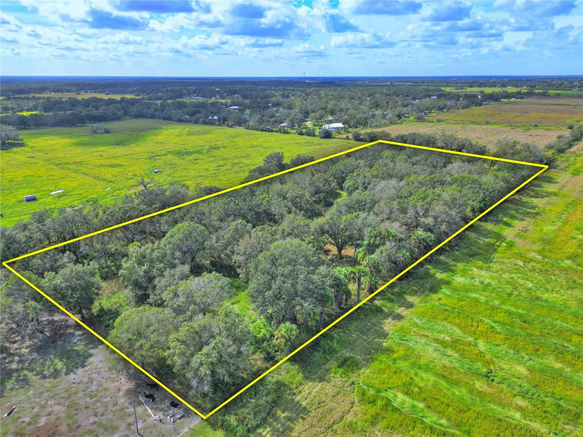 Conroy Lane Wauchula FL 33873