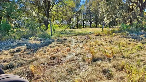 Conroy Lane Wauchula FL 33873