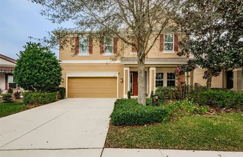 6343 Hawk Grove Court Wesley Chapel FL 33545