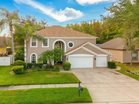 4322 Hawks Nest Drive Lutz FL 33558