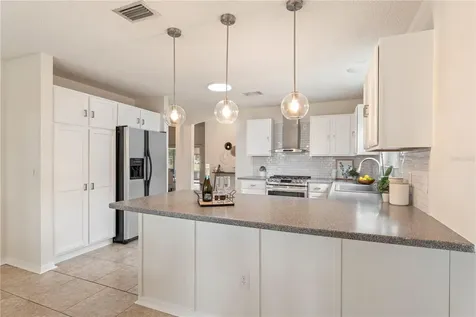 16987 SE 84th Colerain Circle The Villages FL 32162