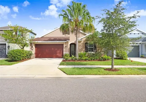 16335 Hyde Manor Drive Tampa FL 33647