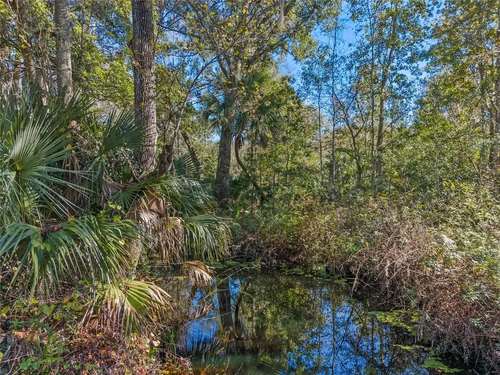 13524 Corkwood Lane Astatula FL 34705