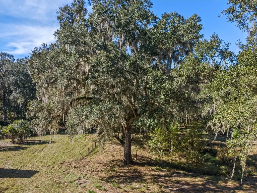13524 Corkwood Lane Astatula FL 34705