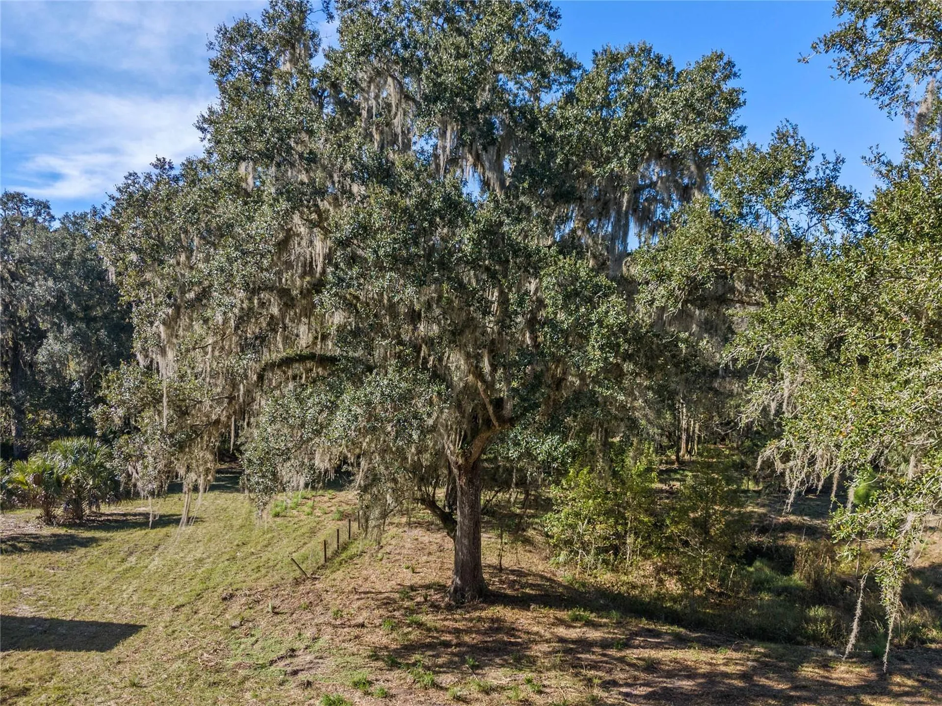 13524 Corkwood Lane Astatula FL 34705