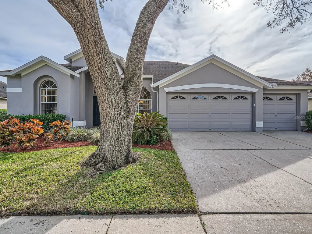12404 Ashville Drive Tampa FL 33626