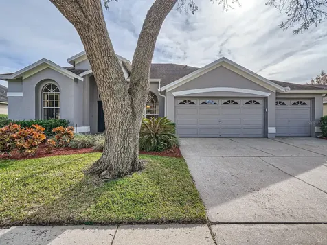 12404 Ashville Drive Tampa FL 33626