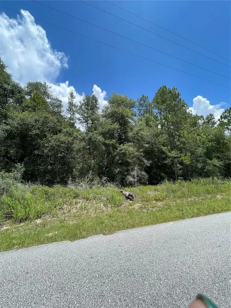Tbd SW 59th Lane Dunnellon FL 34431