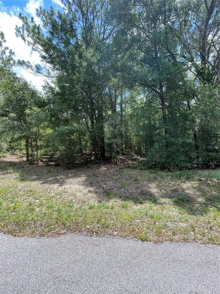 Tbd SW 59th Lane Dunnellon FL 34431
