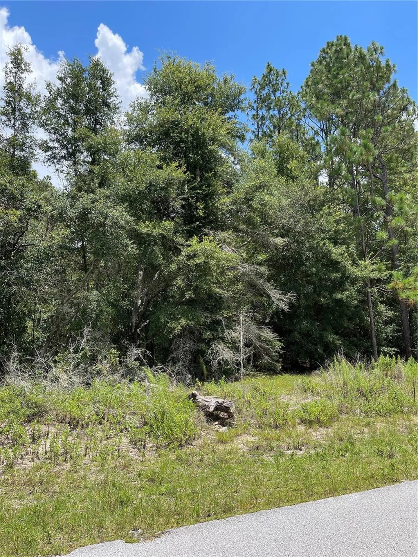 Tbd SW 59th Lane Dunnellon FL 34431