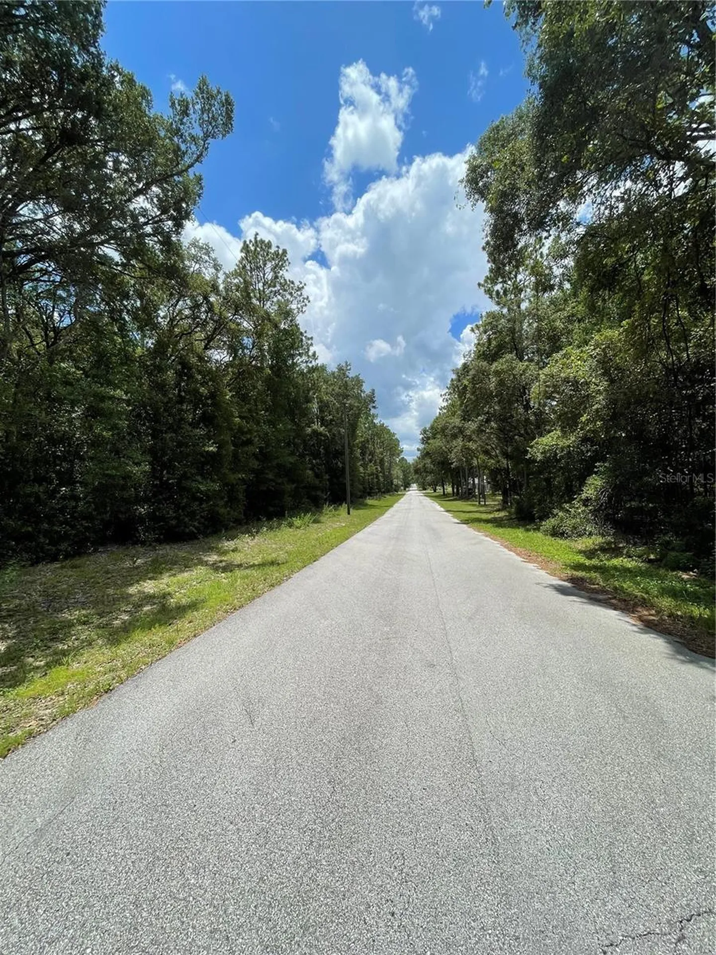Tbd SW 59th Lane Dunnellon FL 34431