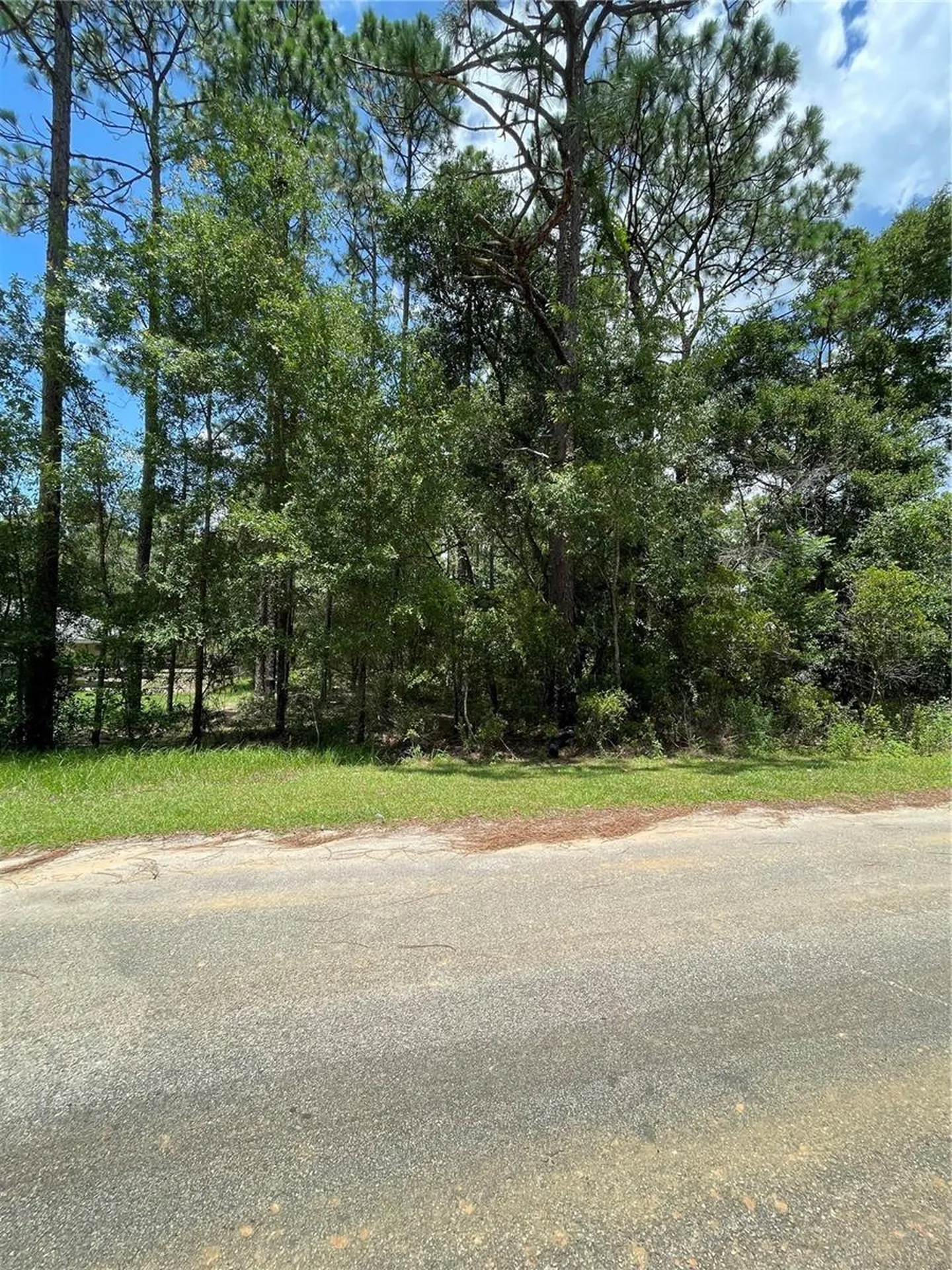 Tbd SW 59th Lane Dunnellon FL 34431