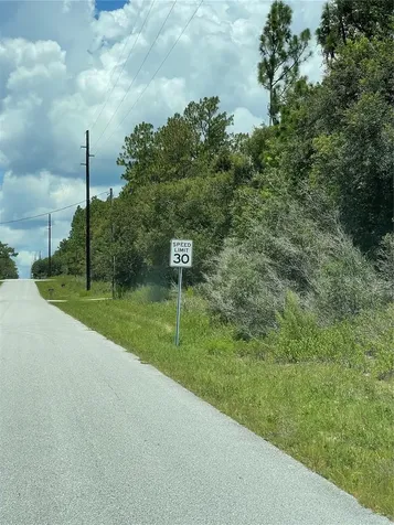 Tbd SW 59th Lane Dunnellon FL 34431