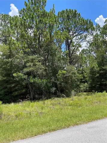Tbd SW 59th Lane Dunnellon FL 34431