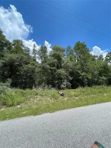 Tbd SW 59th Lane Dunnellon FL 34431