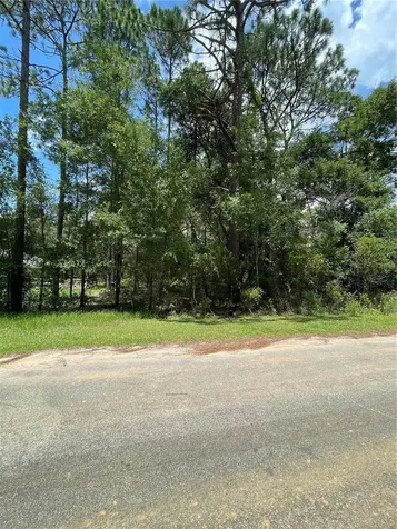 Tbd SW 59th Lane Dunnellon FL 34431
