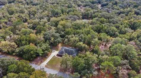 12728 W Cypress Vine Lane Crystal River FL 34428