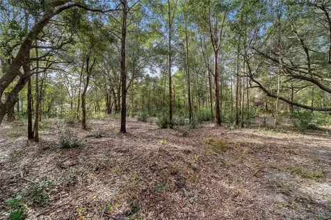 12728 W Cypress Vine Lane Crystal River FL 34428