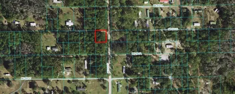 00 NE 156th Lane Fort Mc Coy FL 32134