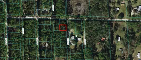 00 NE 67th Avenue Citra FL 32113