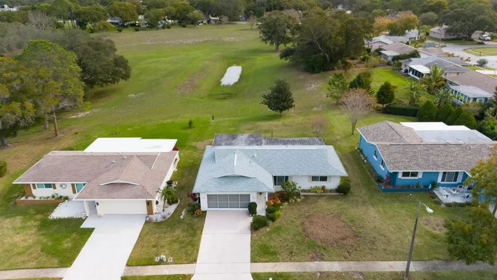 1205 Timberbrooke Drive Palm Harbor FL 34684