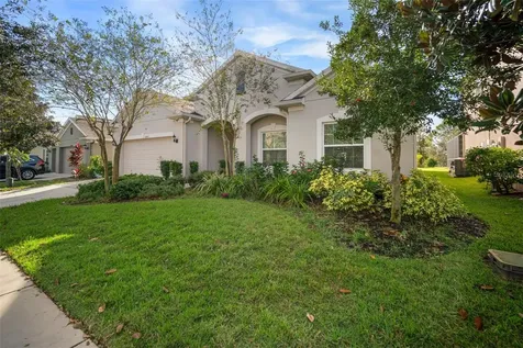 10438 Flagstaff Falls Avenue Riverview FL 33578