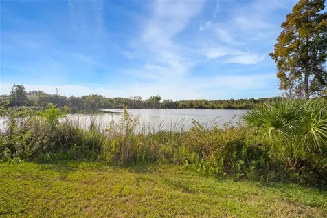 10438 Flagstaff Falls Avenue Riverview FL 33578