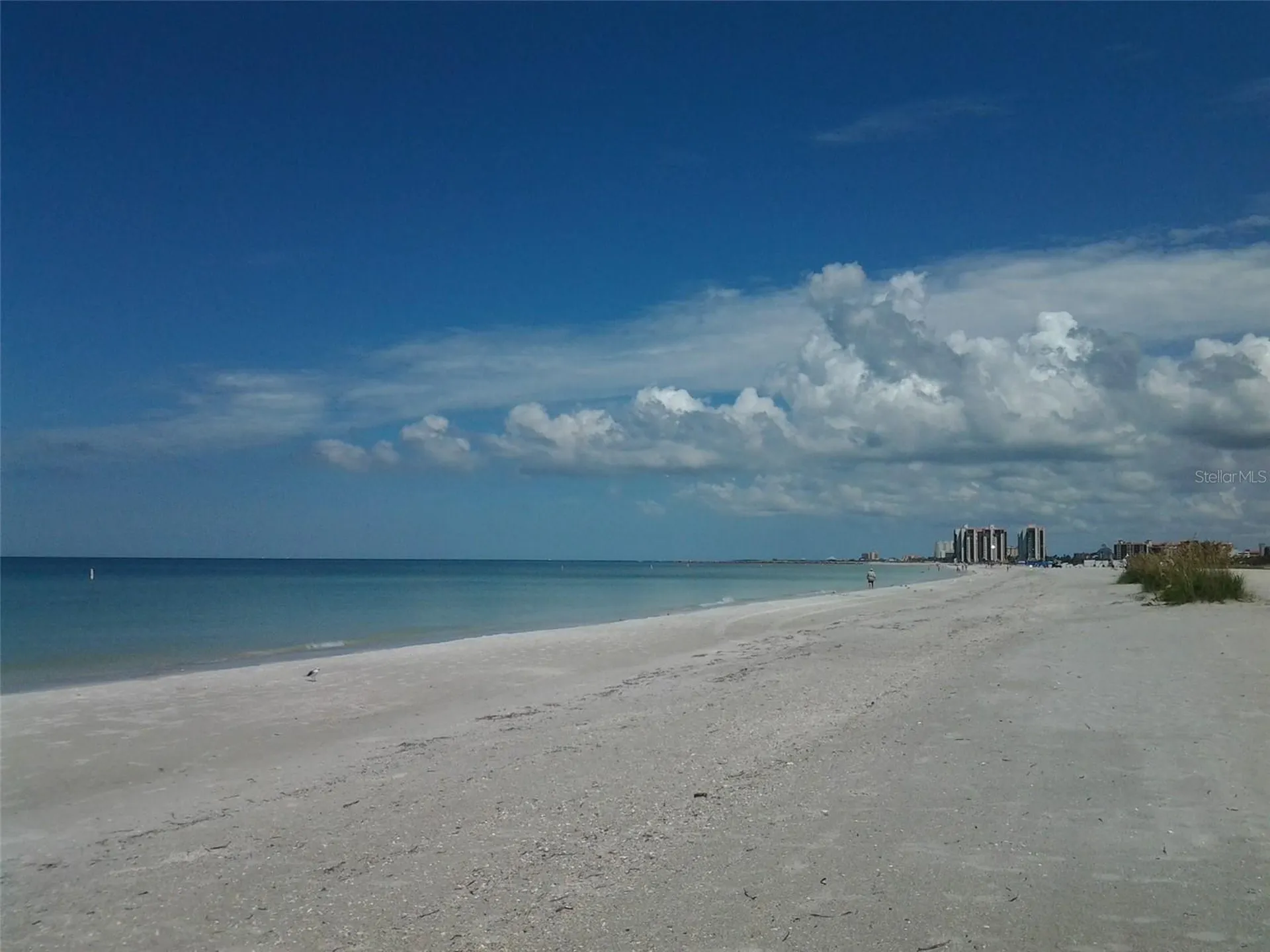 1230 Gulf Boulevard Clearwater FL 33767