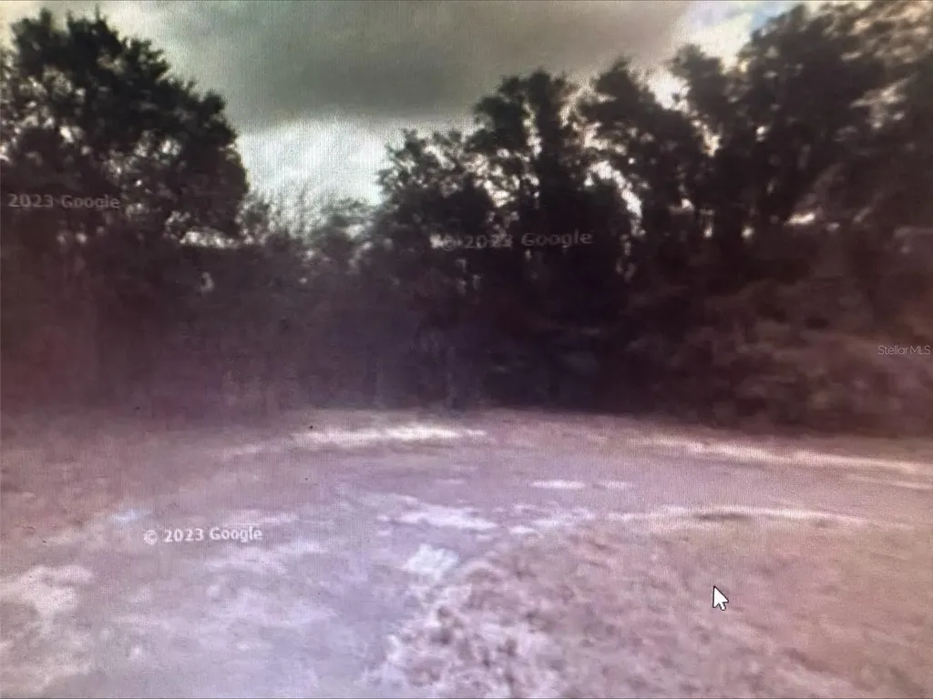 2981 W Challenge Court Citrus Springs FL 34434