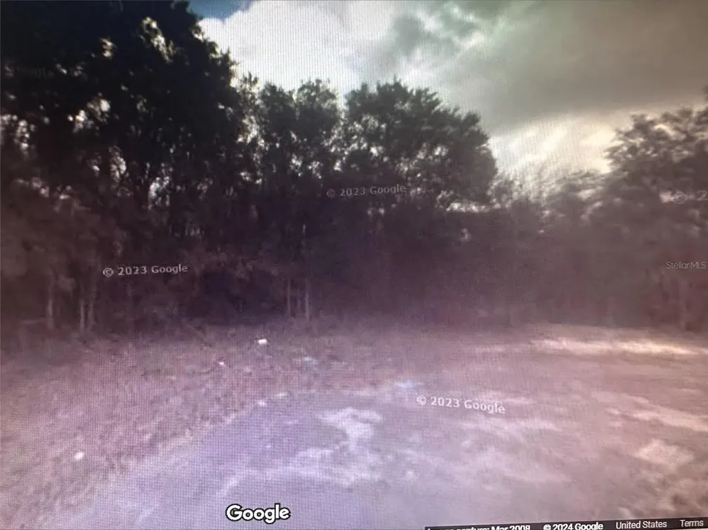 2981 W Challenge Court Citrus Springs FL 34434