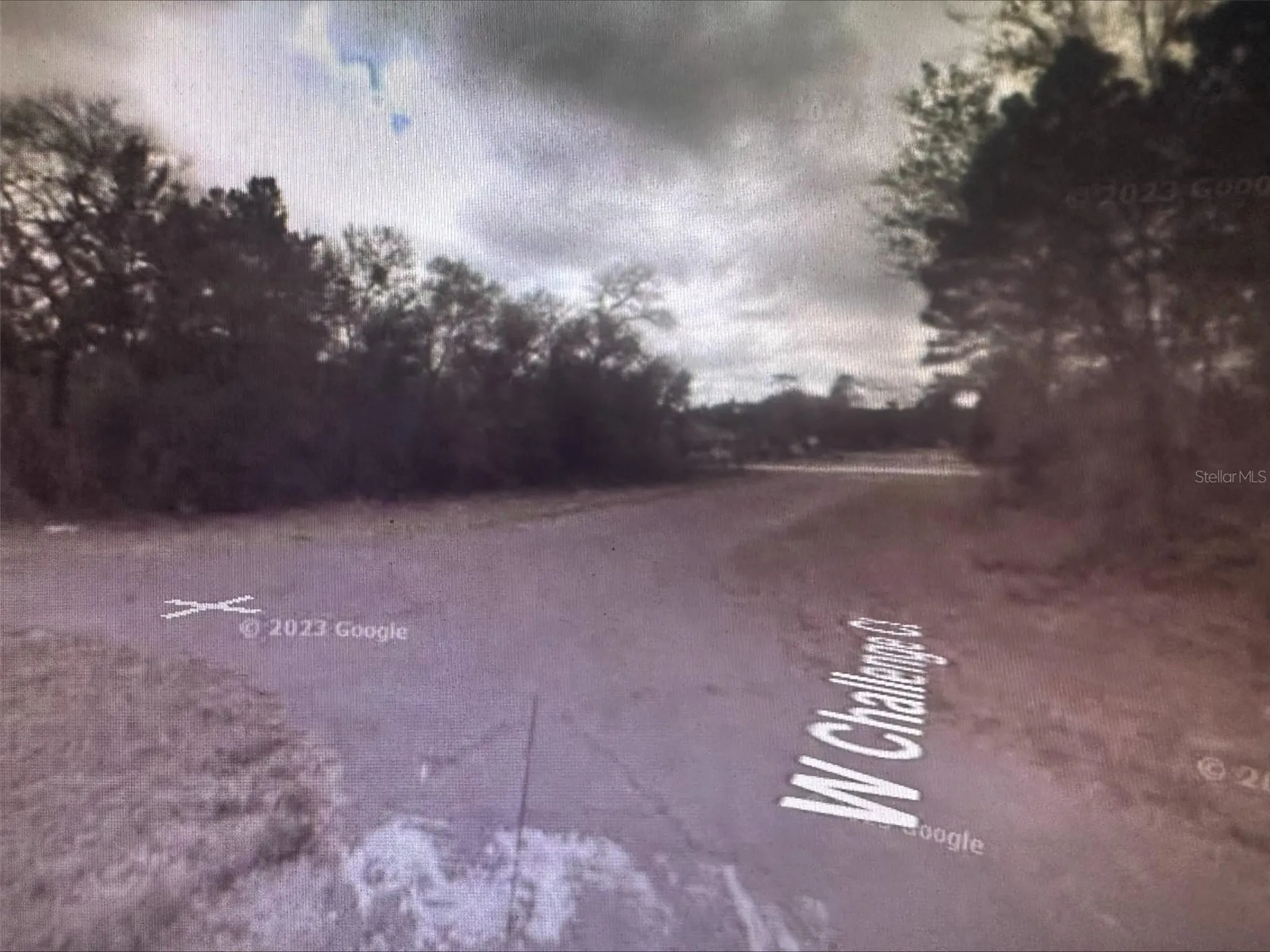 2981 W Challenge Court Citrus Springs FL 34434
